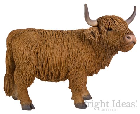 Highland Cattle Real Life Farm Animals By Vivid Arts Xrl Hlca D