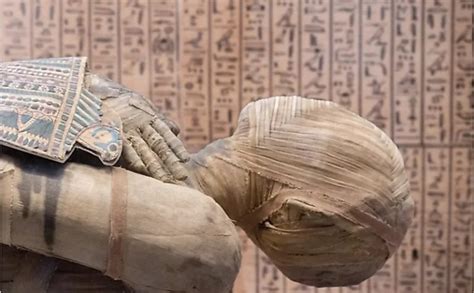 Ancient Egyptian Mummies Found Floating In Sewage Water In Egypt