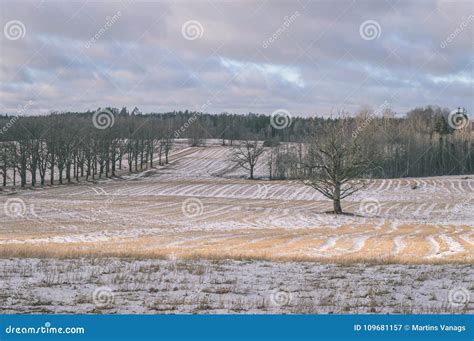 Winter Rural Scene With Snow And White Fields Vintage Effect Stock