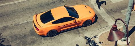 Brigid ogden sees patients of all ages including infants. 2019 Ford Mustang in Naples, FL, Serving Fort Myers ...