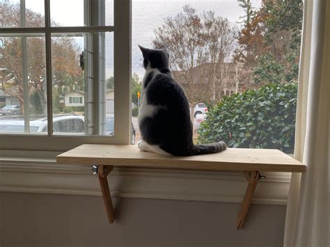 Cat Window Perch Cat Shelf Window Sill No Tools Etsy Uk