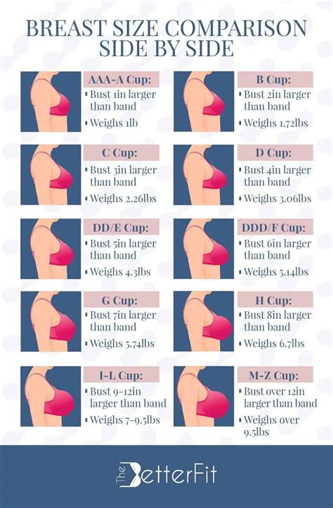 Breast Size Comparison Side By Side Breast Sizes Chart Bra Sewing