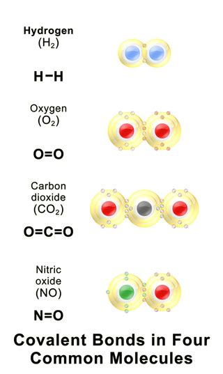 Difference Between Ionic Covalent And Metallic Bonds Definition