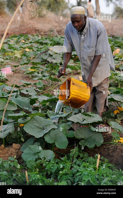 Niger Drought Farmer Hi Res Stock Photography And Images Alamy