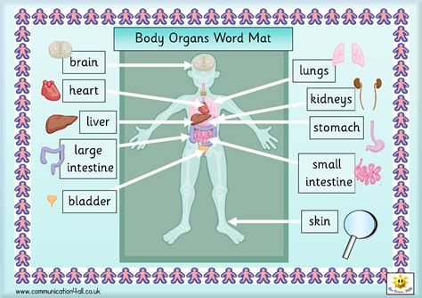 Body Organs Word Mat And Other Free Printables For Elementary Age