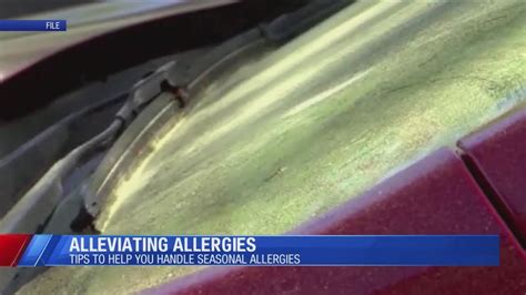 Tips to help you alleviate seasonal allergies - YouTube