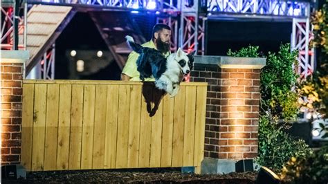 Watch Americas Top Dog Full Episodes Video And More Aande