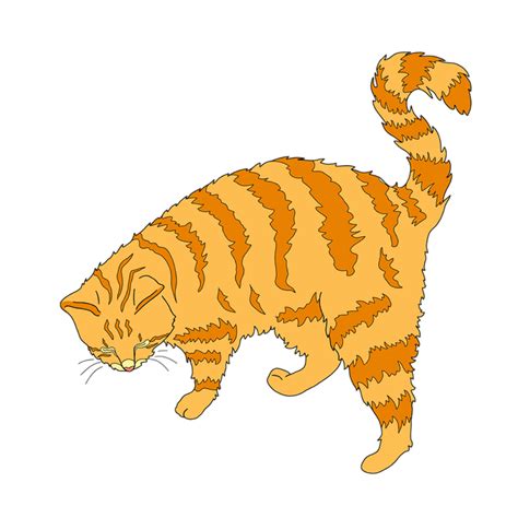 Download High Quality Cat Clipart Mackerel Tabby Transparent Png Images