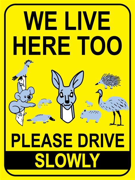 We Live Here Too Please Drive Slowly Wildlife Group Bright Yellow Sign