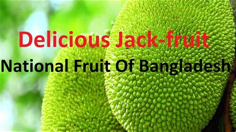Jack Fruit Market Ll National Fruits Of Bangladesh Youtube