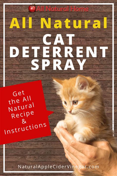 The best cat repellants should deter your felines from marking around the house or getting caught in unsafe areas. The Best All Natural Cat Deterrent Spray Recipe | Cat ...
