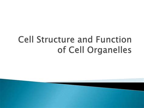 Cell Structure And Function Ppt