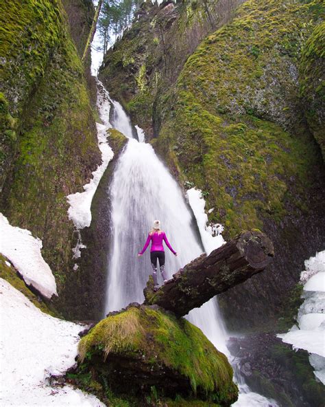 Amazing Waterfall Hikes In Oregon Waterfall Hikes Oregon Travel Oregon Waterfalls