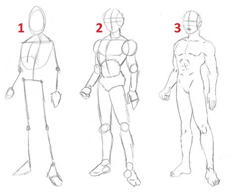 Human Figure Sketches Human Sketch Human Figure Drawing Body Sketches Anatomy Sketches