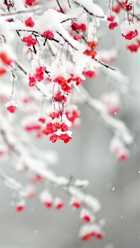 Love Snow Iphone Wallpaper Winter Winter Iphone Winter
