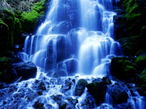 Follow the vibe and change your wallpaper every day! Jamaica Wallpaper Screensavers (53+ images)