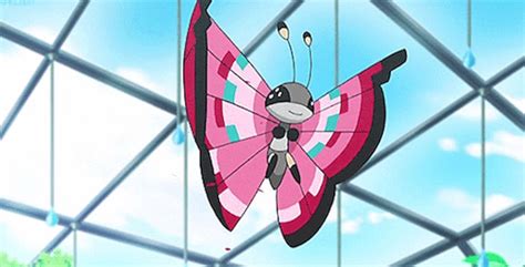 How Many Vivillon Forms Are In Pokemon Scarlet And Violet Answered