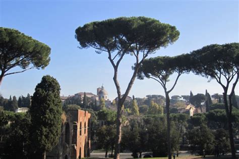 The Pines Of Rome A Musical Portrait Wrti