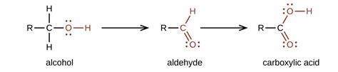 Regardless of the length of the side chain, the carboxyl group's full side chain is oxidized. Aldehydes, Ketones, Carboxylic Acids, and Esters ...