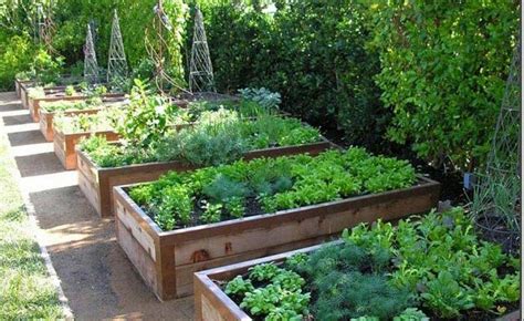 Vegetable Gardening With Raised Beds Quiet Corner