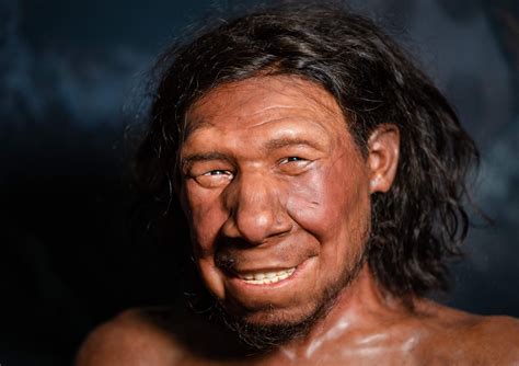 Neanderthal Vs Human