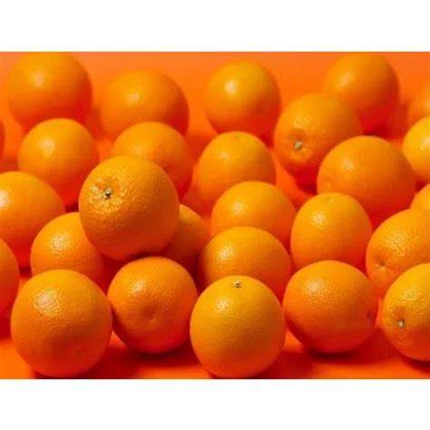 Fresh Orange At Rs 120kilogram Fresh Fruits In Nagpur Id 13577788791