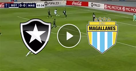 Futebol Ao Vivo Botafogo X Magallanes Direto Do Nilton Santos