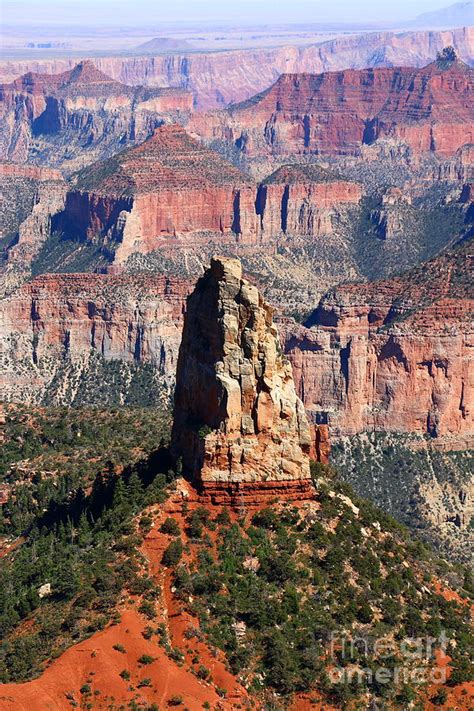 Point Imperial North Rim Grand Canyon Photograph By Christiane
