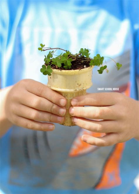 The gravel provides drainage in the planting container as well as stability because trees planted in containers can get top heavy and easily blow over in the wind. 15 DIY Seed Starter Pots You Can Make From Recycled Materials!