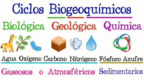 ♻️ Ciclos Biogeoquímicos 🌐 Fácil Y Rápido BiologÍa Youtube