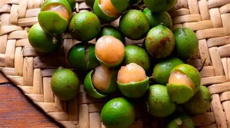 El Mamón la fruta exótica que te encantará Canal 13 México