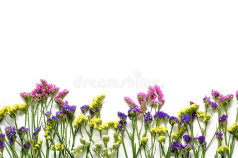 Colorfull Wildflowers On White Background Bottom Border Flat Lay Top