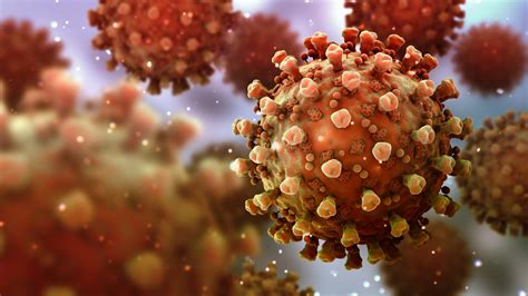 Salute Il Doppio Legame Tra Coronavirus E Diabete Scienze Notizie