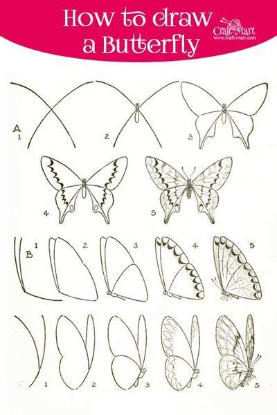 Check spelling or type a new query. How to draw a butterfly step by step easy and fast - Craft ...
