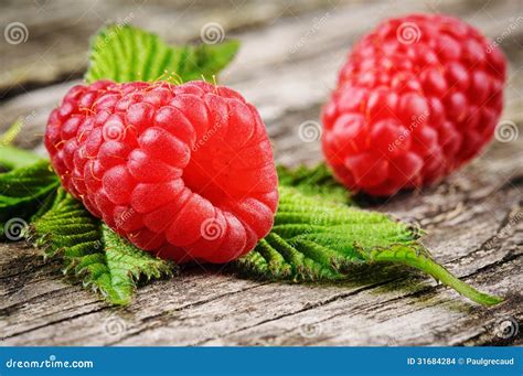 Fresh Organic Raspberry Stock Photo Image Of Colorful 31684284