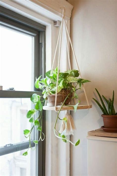 37 Indoor Hanging Plants Ideas To Decorate Your Home Vimdecor
