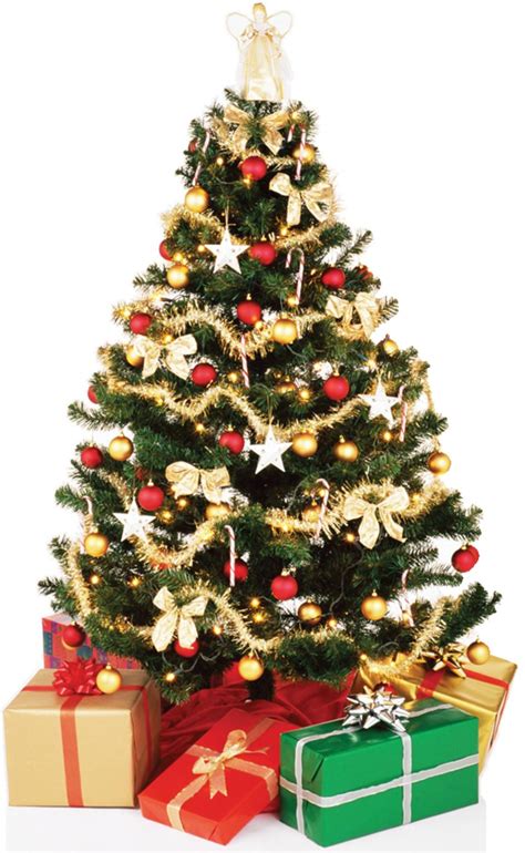 Download latest merry christmas tree png images for photo editing , this artical includes merry christmas trees png and christmas tree vector. Christmas Tree - 707