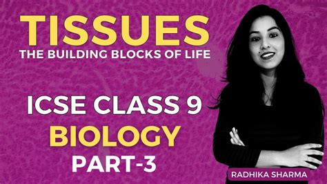 Tissues The Building Blocks Of Life Icse Class 9 Biology Part 3