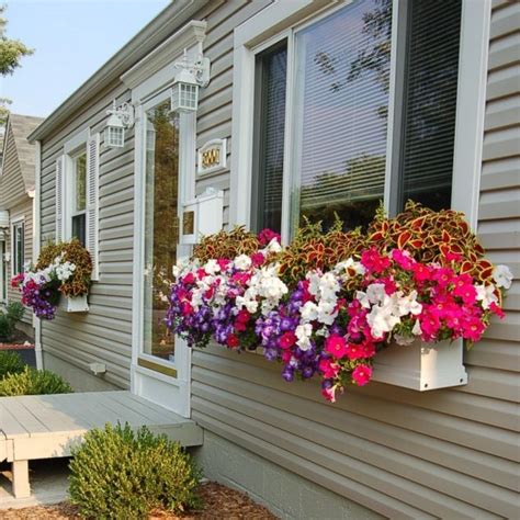 12 Window Boxes For Amazing Morning View