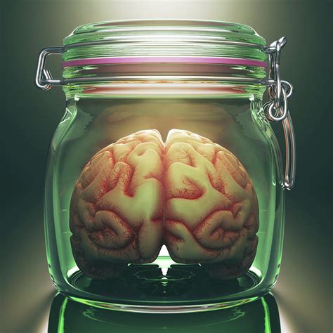 Human Brain In Glass Jar Photograph By Ktsdesignscience Photo Library