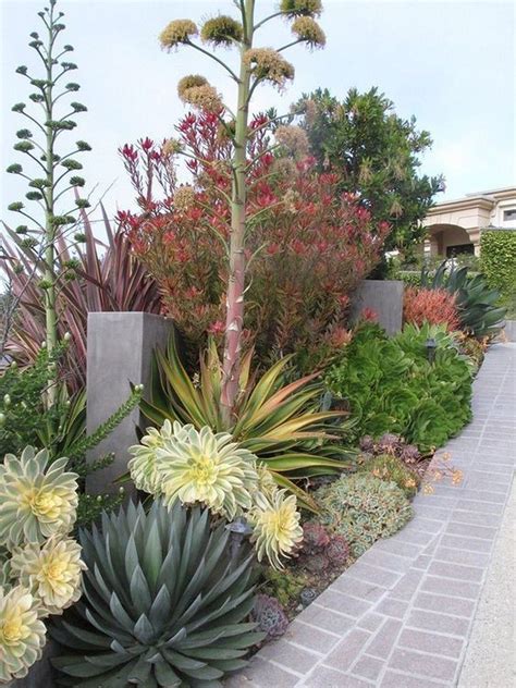 38 Best Drought Tolerant Plants That Grow In Lack Of Water Succulent