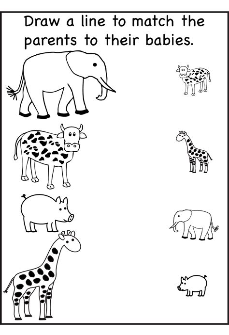 Animal Worksheet for Nursery Class - Learning Printable
