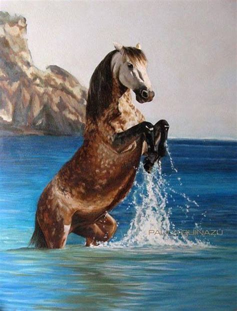 Playing In The Water Beautiful Horses Horses Horse Pictures