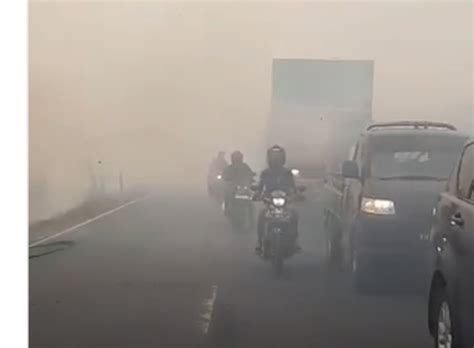 Kabut Asap Di Sumatera Dan Kalimantan Terdampak Ke Negara Tetangga Kepri Maju