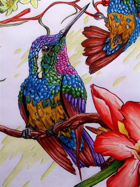 Pypus está ahora en las redes sociales, síguelo y encontrarás las novedades en dibujos para imprimir y colorear. colibries_68702.jpg | Arte de colibrí, Pintura de colibrí ...