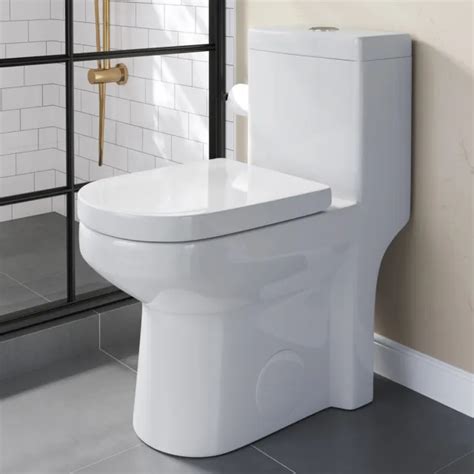 Contemporary One Piece Toilet Dual Flush Elongated 10 Rough In Soft