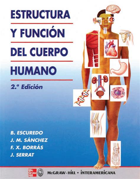 Estructura Y Funcion Del Cuerpo Humano By Rosselyn Gualdron Issuu