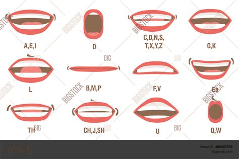 Mouth Animation Set Vector And Photo Free Trial Bigstock