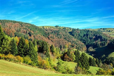 Eight New Trekking Camps In The Black Forest Can Be Booked From March