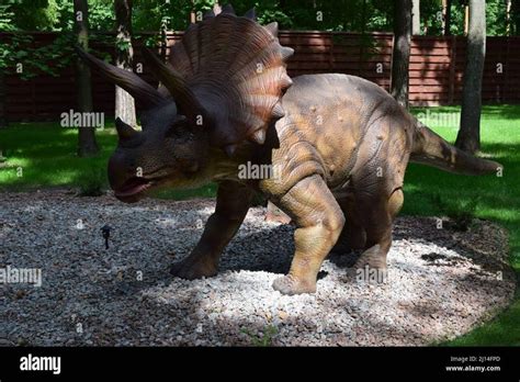 Download This Stock Image Dino Park Kharkov August 8 2021 Dino